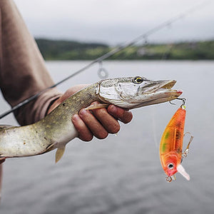 【Up To 60% Off】24 Days Christmas Countdown Fish Tackle Set